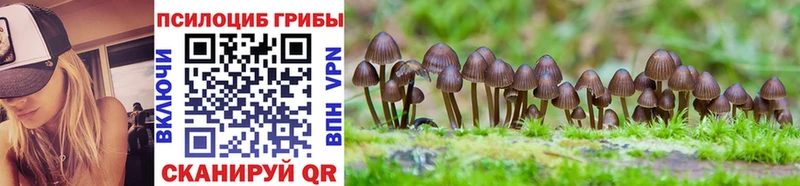 Псилоцибиновые грибы MAGIC MUSHROOMS Североморск