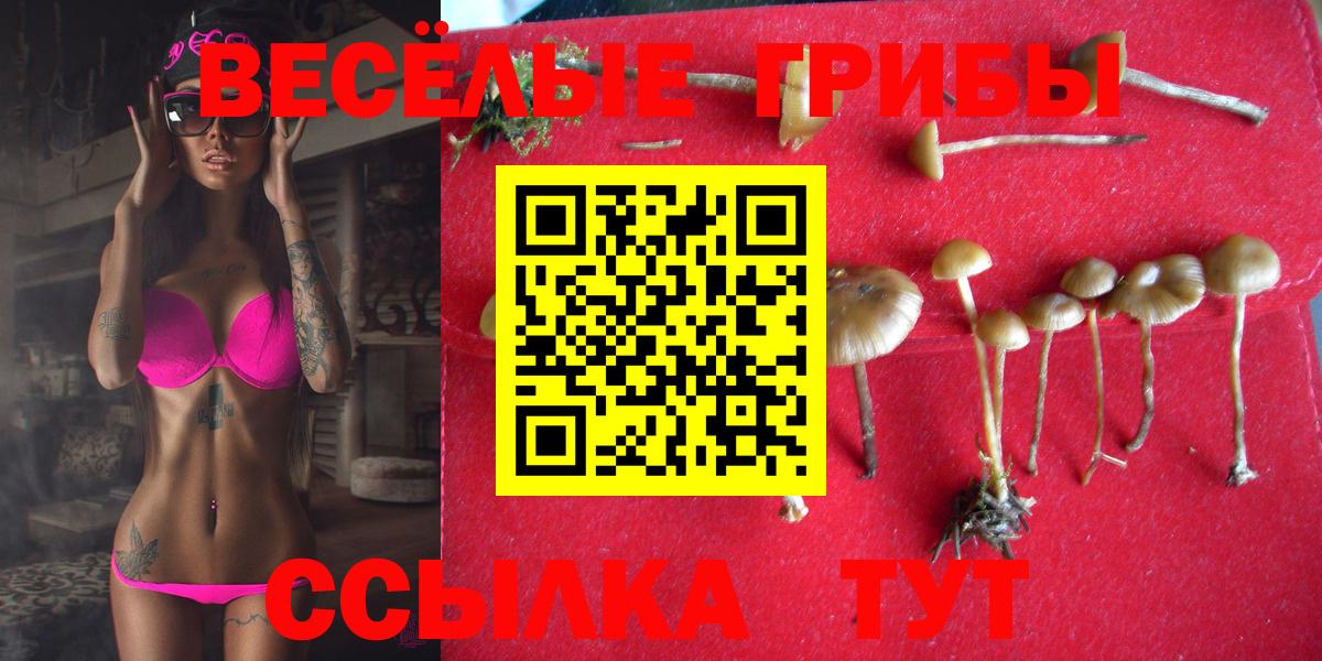 наркошоп  Вход с VPN  Галлюциногенные грибы Cubensis  Североморск  Псилоцибиновые грибы мицелий 
